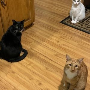 Meet your Posher, Delana